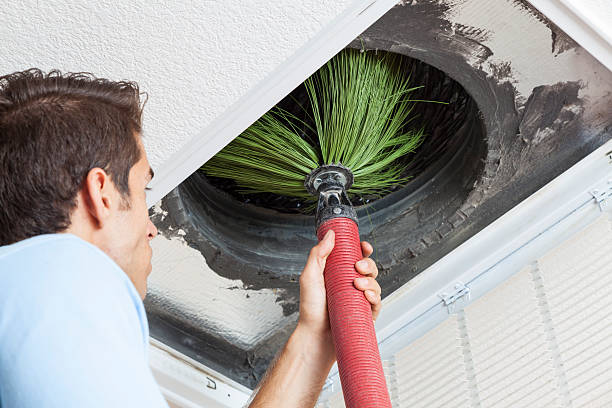 Best Commercial Air Duct Cleaning  in Cortez, FL